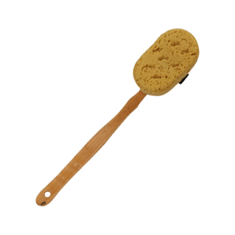 Long handled sponge bath brush